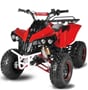 Nitro dětská čtyřkolka Warrior Sport S8 125 cc červená