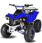 Nitro dětská čtyřkolka Warrior Sport S8 125 cc modrá