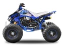 Nitro dětská čtyřkolka Speedbird RS 125 cc