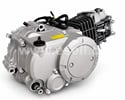 Motor Pitbike YX 1P56FMJ 140 ccm automat, E-start