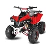 Nitro dětská čtyřkolka Warrior RS 125 cc červená