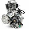 Motor pitbike Lifan 167FMM 250 ccm 4T – 5 rychlostí, E-start