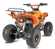 Nitro dětská čtyřkolka Warrior Sport S8 125 cc