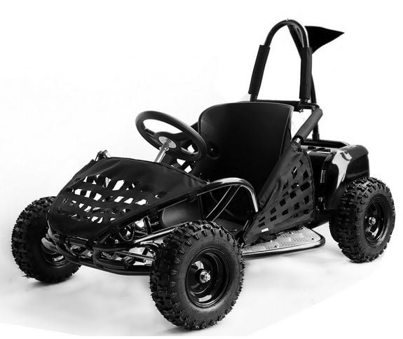 GO Kart 1000W