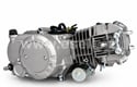Motor Pitbike YX 1P56FMJ 140 ccm automat, E-start