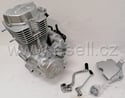 Motor pitbike Lifan 167FMM 250 ccm, E-start
