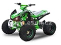 Kompletní kapotáž Speedy, Monster, Speedbird, Panthera 110cc, 125cc zelená