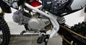 Pitbike Ultimate Scorpion 140 cc 17x14